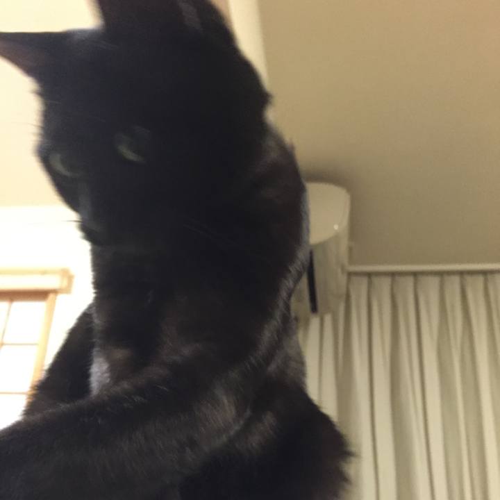 A7a82efe 4fb7 4b0b 8d35 81435cbe7949