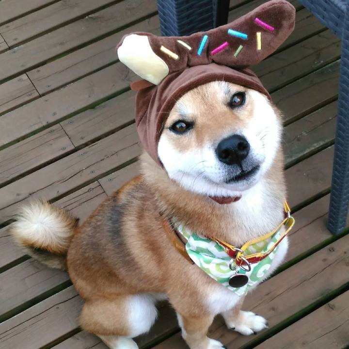 A7a8a55a 3f90 4873 949a 41d1e88e1b0a