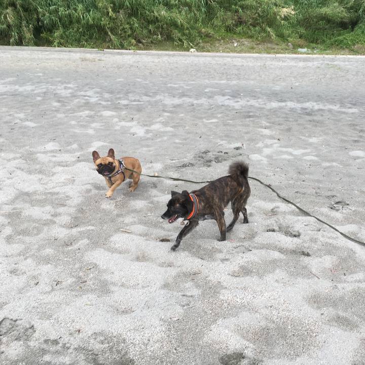 A7a95234 b1f2 4100 96dd 62aa7370348d