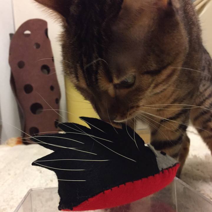 A7a960b2 32fd 4815 8455 3d67d34da500