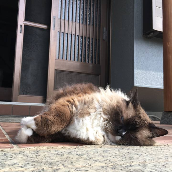 A7a960f4 5cdc 426c 9937 d915b6b48f8a