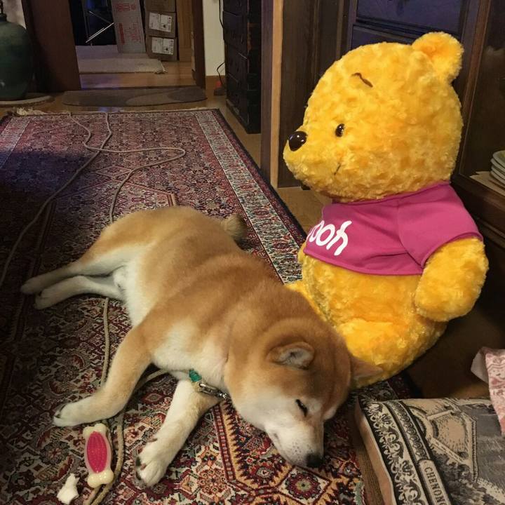 A7aa3551 5fe5 4b4f 99a7 4dd3c4292337