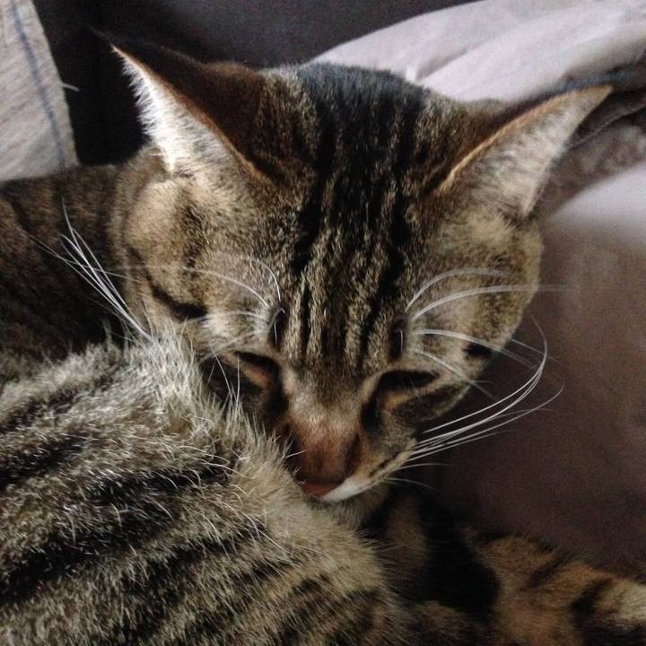 A7aa4bb6 b110 4a42 8752 aab0f362e14d