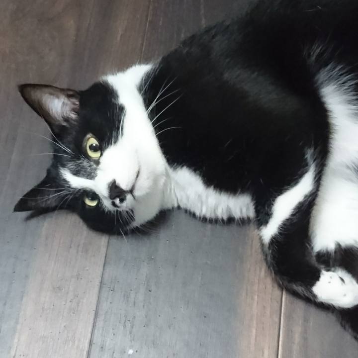 A7aa6813 fac1 458d 8554 dd0751fe638a