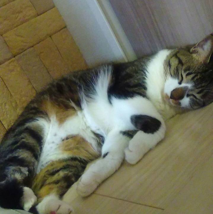 A7aa9a43 de66 40f7 94c0 25fb6eee52bf