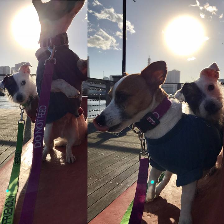 A7aac18b d1d1 4ee0 a890 a8b9ea2cd55b