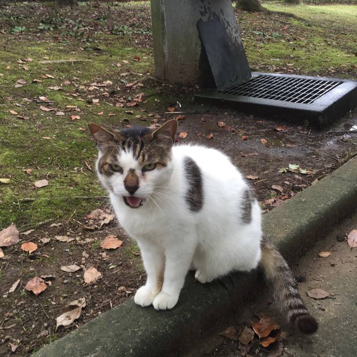 A7ab06e5 c330 49ee 8cb0 ada4b625fe69