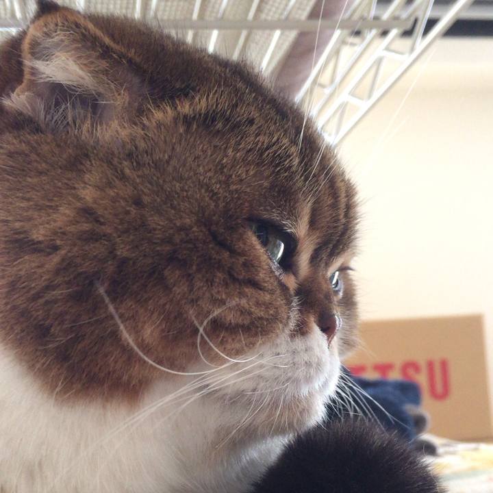 A7ab1f33 4d14 4034 89fb 8ce102793dae