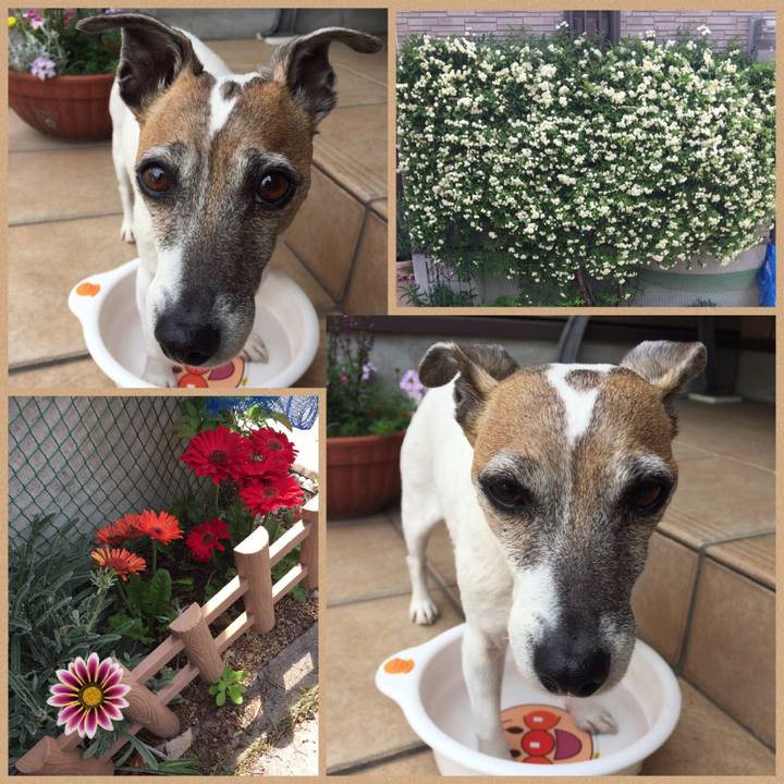 A7ab2761 7ba8 42e8 883a 3f7a52d5bad4