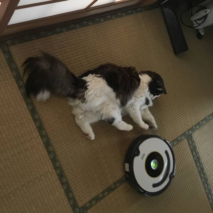 A7ab2d93 f670 443c b73b cad65598891b