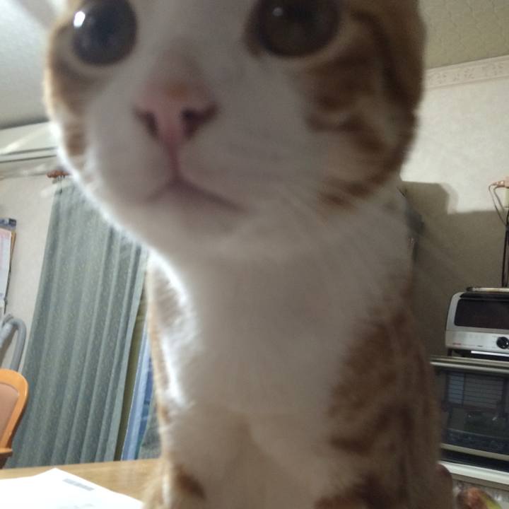 A7abb1ed ba82 4dc2 91e4 2b2e9441cd75