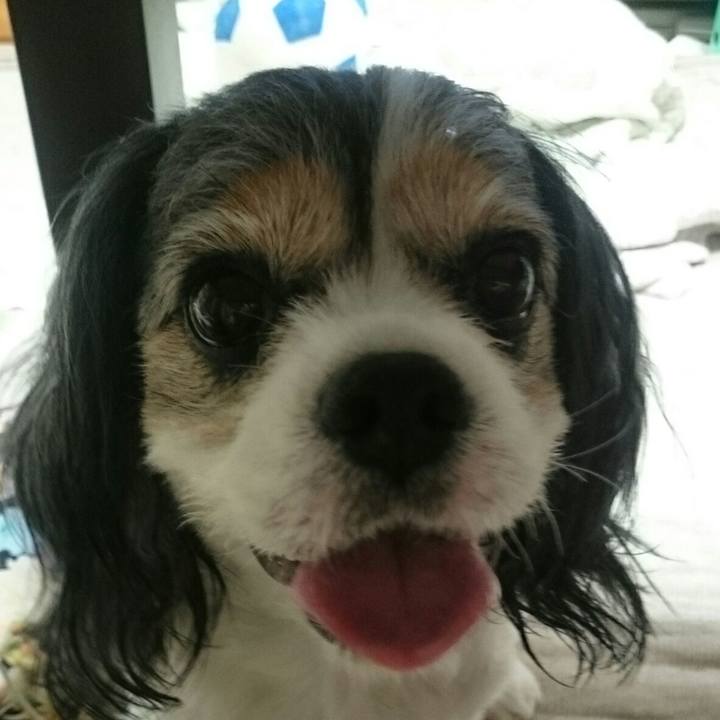 A7ac3051 c83d 410f 8175 745f095fc187