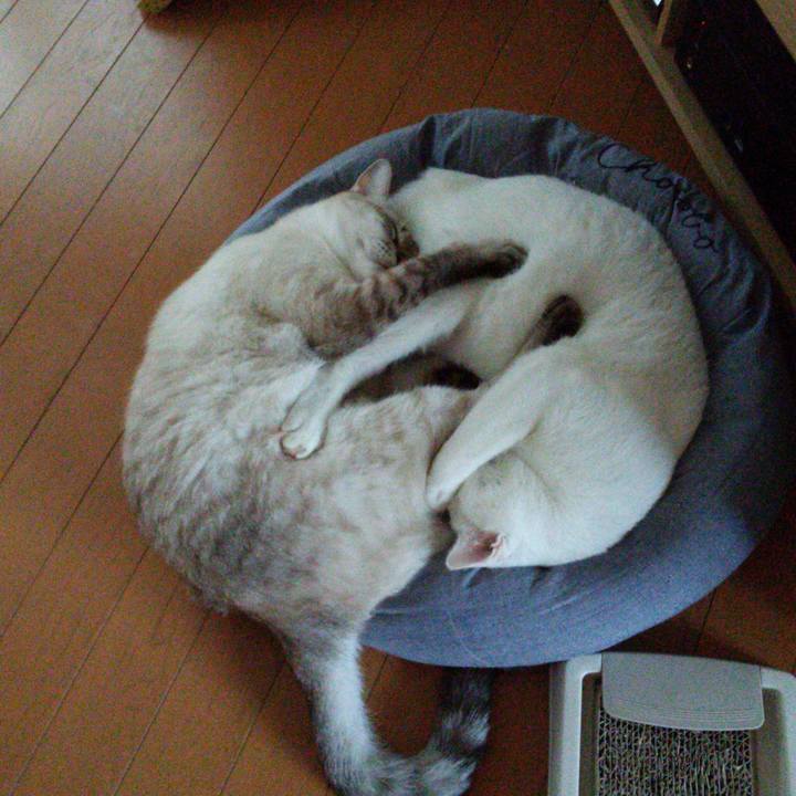 A7acbfe3 985c 4acc 8adf 363615ecb12d