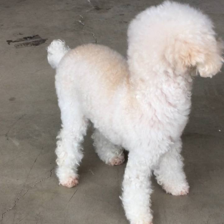 A7ad37a9 4820 456d a372 0e32df4d2a91