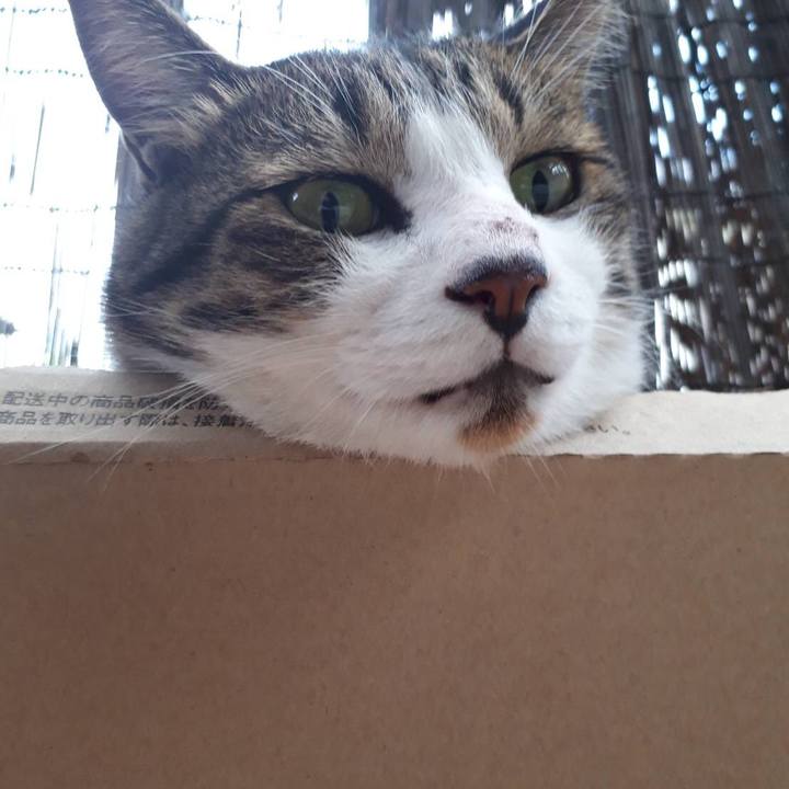 A7ad6a3e d358 4ff0 932a 83ca79de66b8