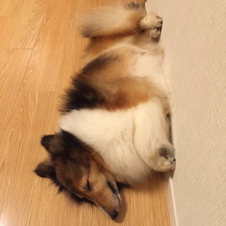 A7ada515 7f97 40fa 8085 2d45ee772c62