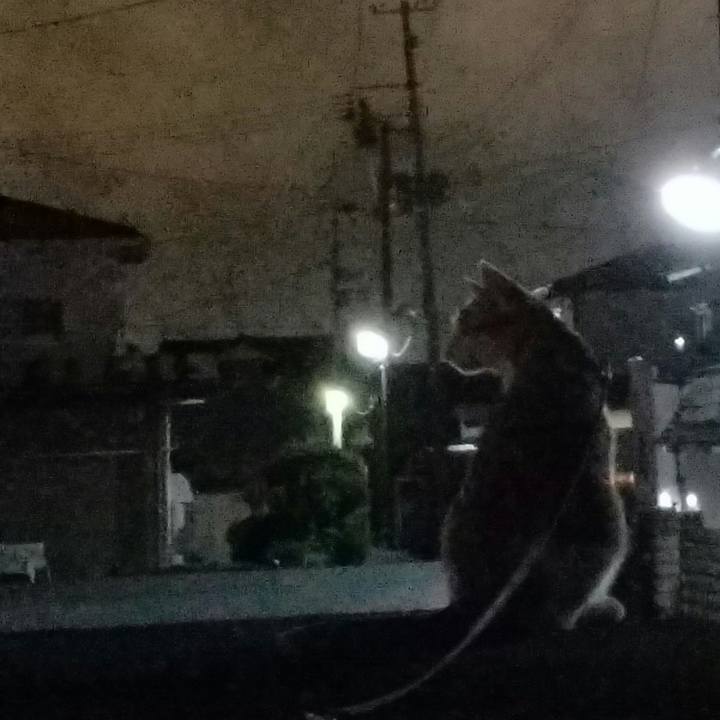 A7ae6f7d 553c 452a b801 9f26a57ed63c