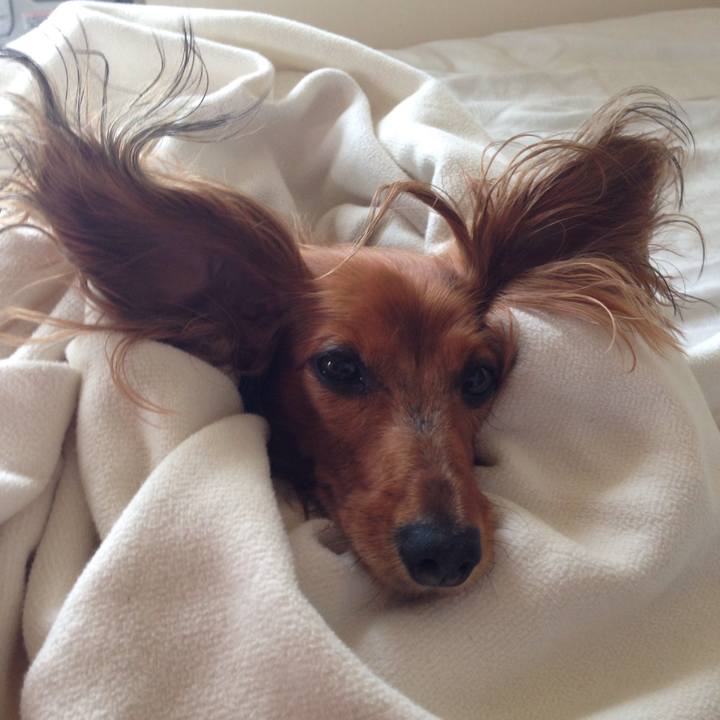 A7aeef51 6544 47ac 9165 046def9ca040