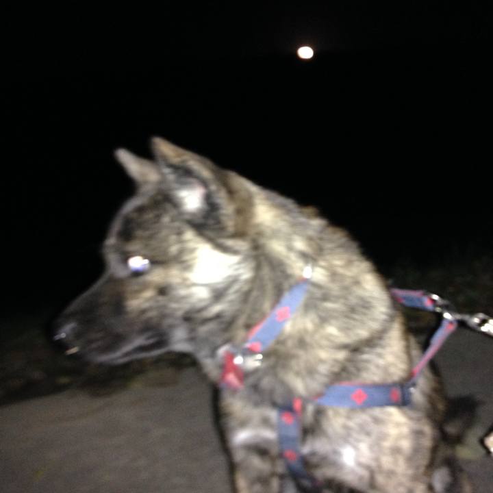 A7af135b 09ea 42b7 b90a 28b4bda97055