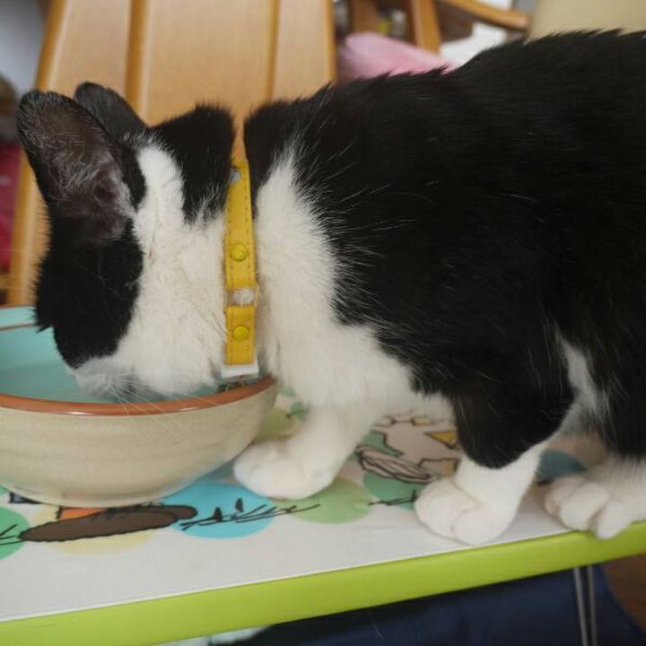 A7af82d9 9641 4d81 a275 b1cbee0c8118