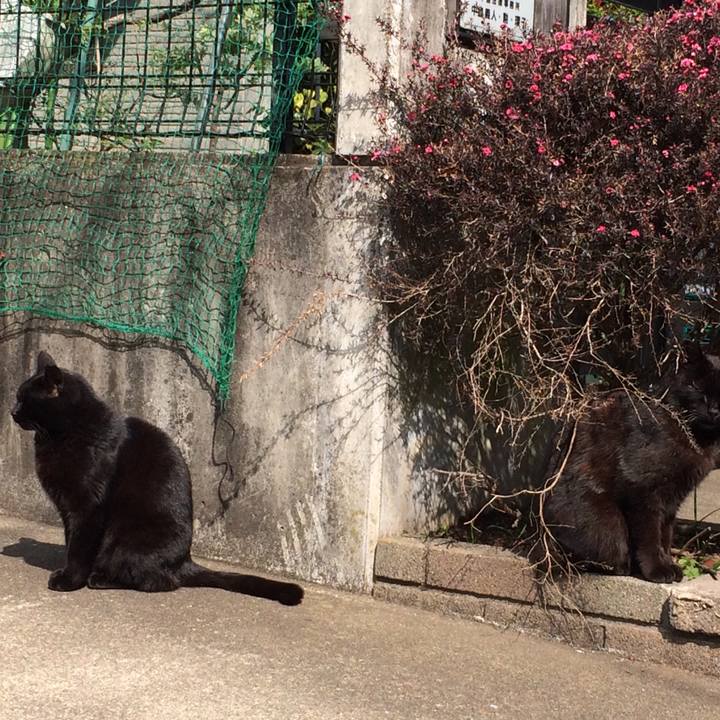 A7b03964 09e1 4818 ba49 ec65622309dc