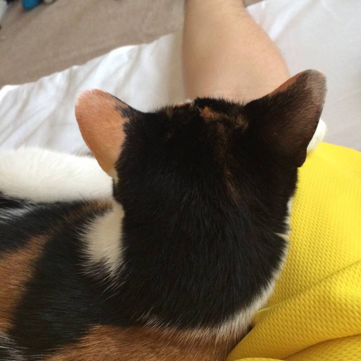 A7b03c97 64c7 4a79 afa3 547e5289b97e