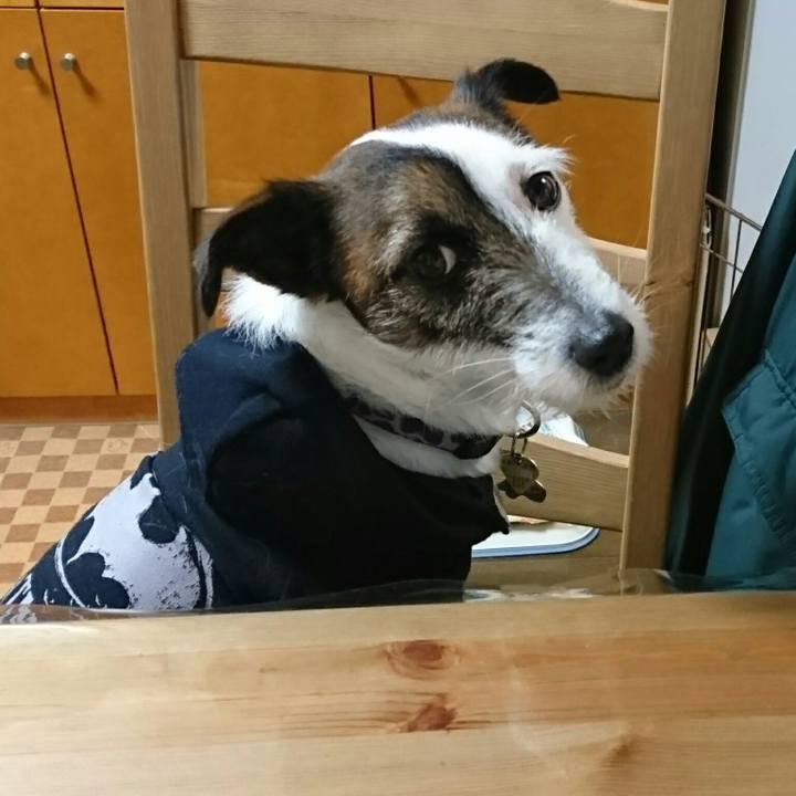 A7b0c413 840d 4361 a00b 44f35a0a247d