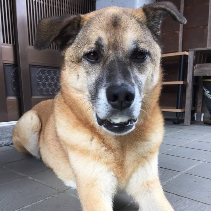 A7b0dee0 a326 4b53 a2da 486679cab187