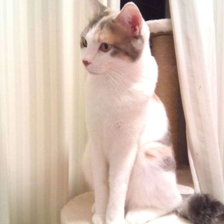 A7b0f6f4 5fce 4f42 9e61 fe68802f674a