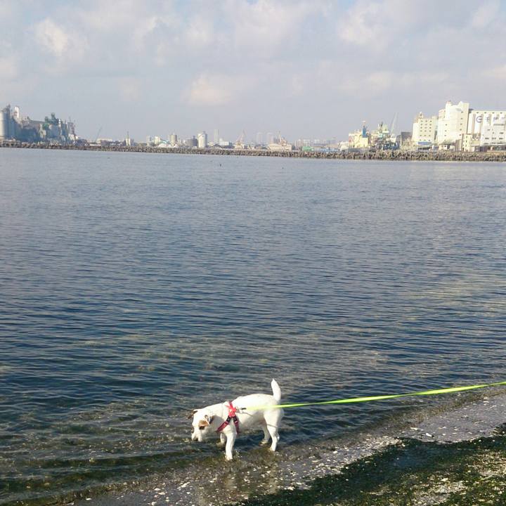 A7b128f9 cf4d 4617 acdc 715269d33544