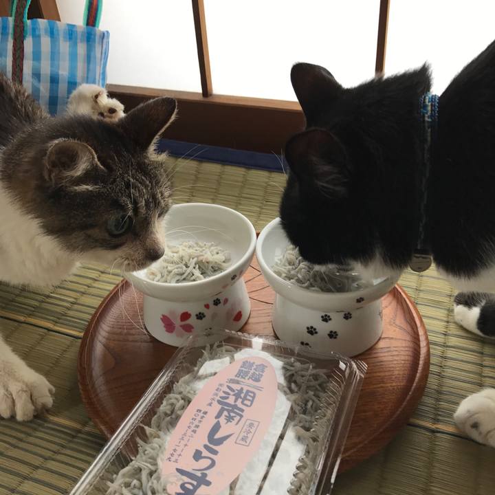 A7b169b8 de24 45ec b75a 440c94f6490b