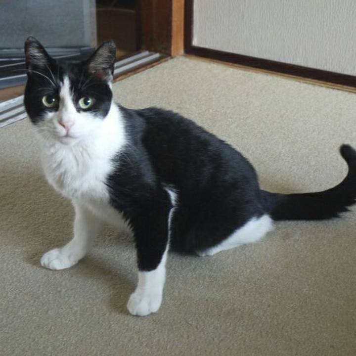 A7b1c5f5 b5e8 4a4e ad92 eb3a0f87822e