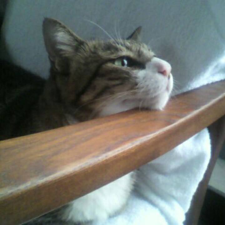 A7b23745 a35c 4f0d b3d2 cde081e28f66