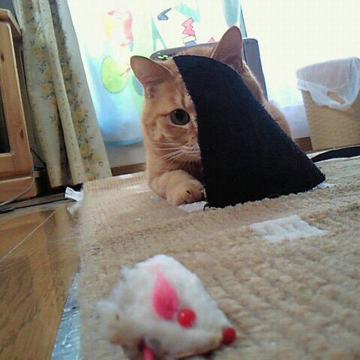 A7b3d3a8 b79b 457c aebb a0d6581f3e99