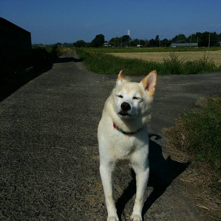 A7b412ea cbbe 44d0 97d2 af57bef0b323