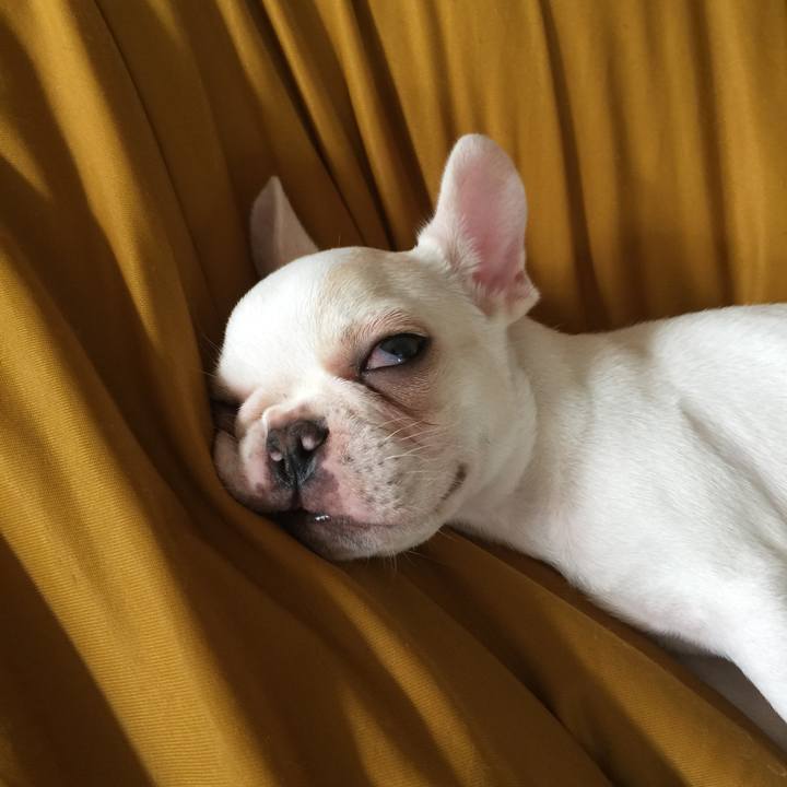 A7b41319 c6a5 46c2 93ec 14e66ff5330a