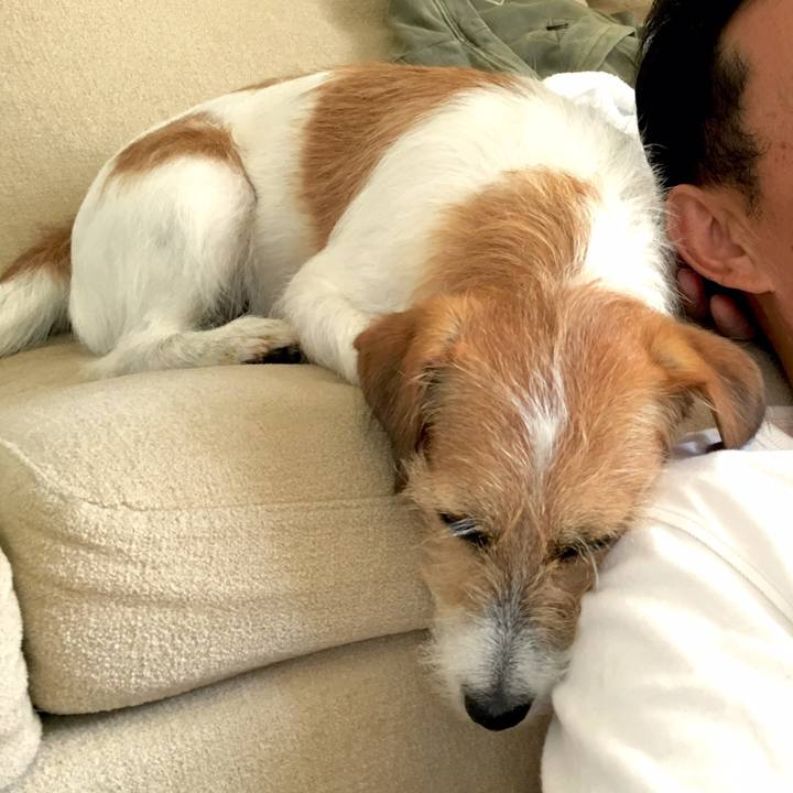 A7b51eba 1931 48de a642 6d8ca2950c82