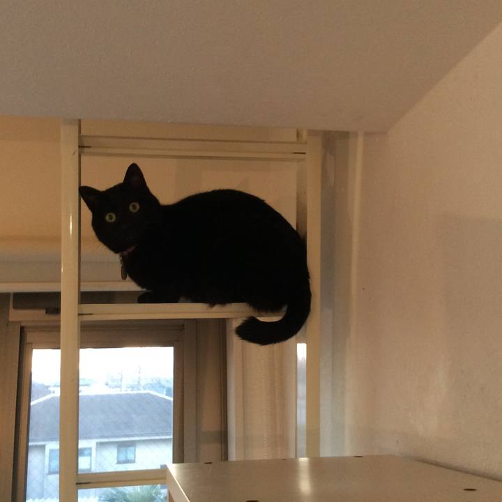 A7b54324 ffda 4aba b351 c9446c2f9939