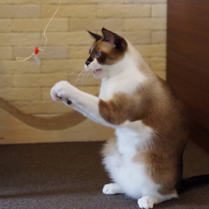 A7b56383 73a5 4c6e a33b ebb0c1c1e049