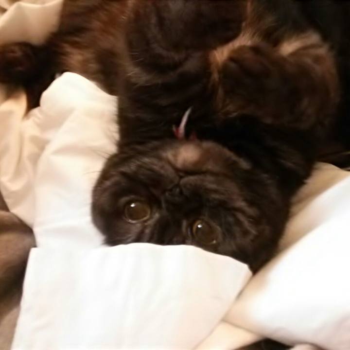 A7b5befa 79b9 4298 9e2c 6675f29672a8