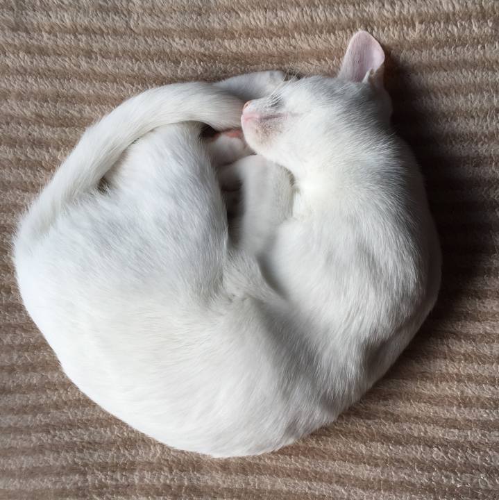 A7b5c2b4 4f81 4a8c 8b39 ddf87172253b