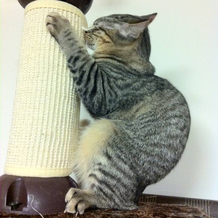 A7b7a1cd c1dd 4daf 85ad d64d1db414f3