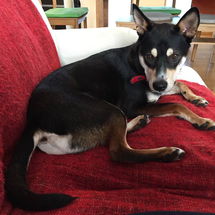 A7b7c7bf 3cb9 43bf 904a 06fabc1caa05