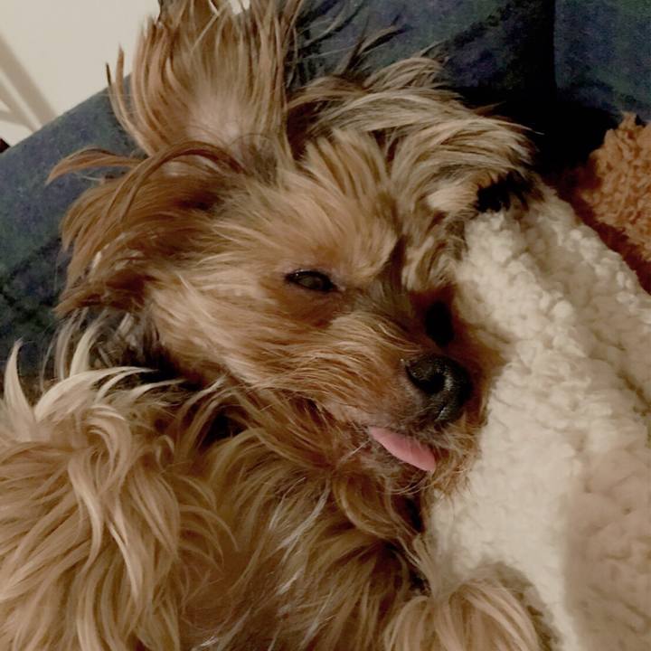 A7b7dba0 c882 40e6 91a0 4c30bb0bd28f