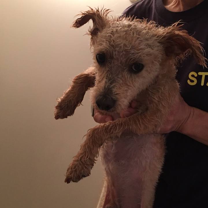 A7b8455c 70cf 4c33 8455 9780bb23261b