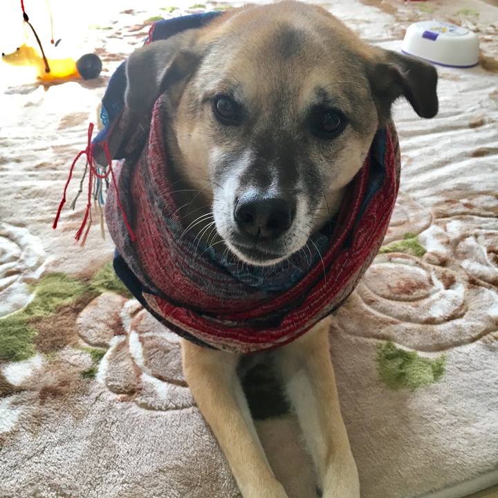 A7b97fbd 504b 478b 8795 fd7e4298737a