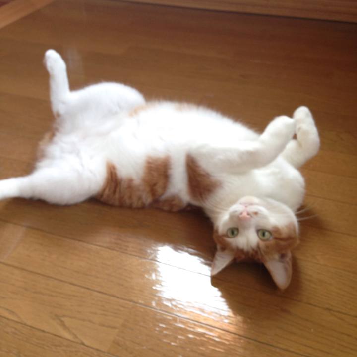 A7b9c441 e6f8 4a59 a5a9 bf13ae024c19