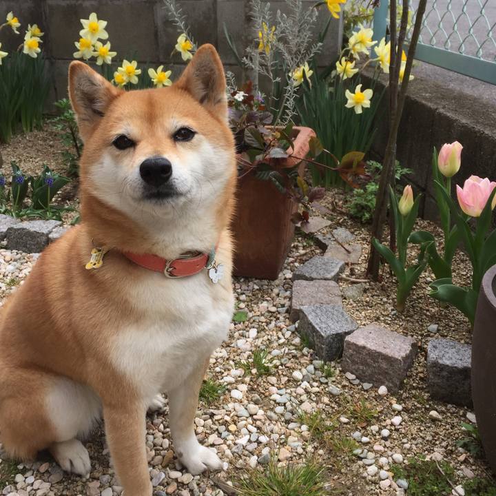 A7b9d20a 9520 4089 96c8 e9b5083546c7