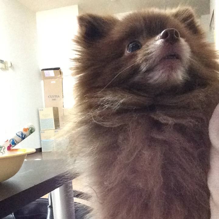 A7b9ef81 743f 4346 9c65 f00a99993553