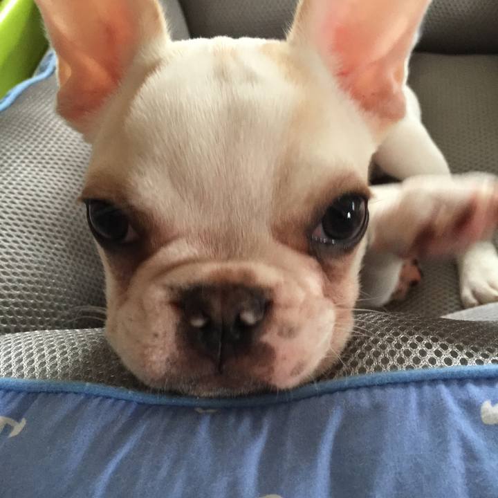 A7ba02c5 e694 4a10 b29f 8702d5fa5c3b